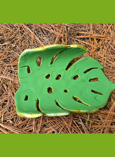 Activité de porte-savon en monstera